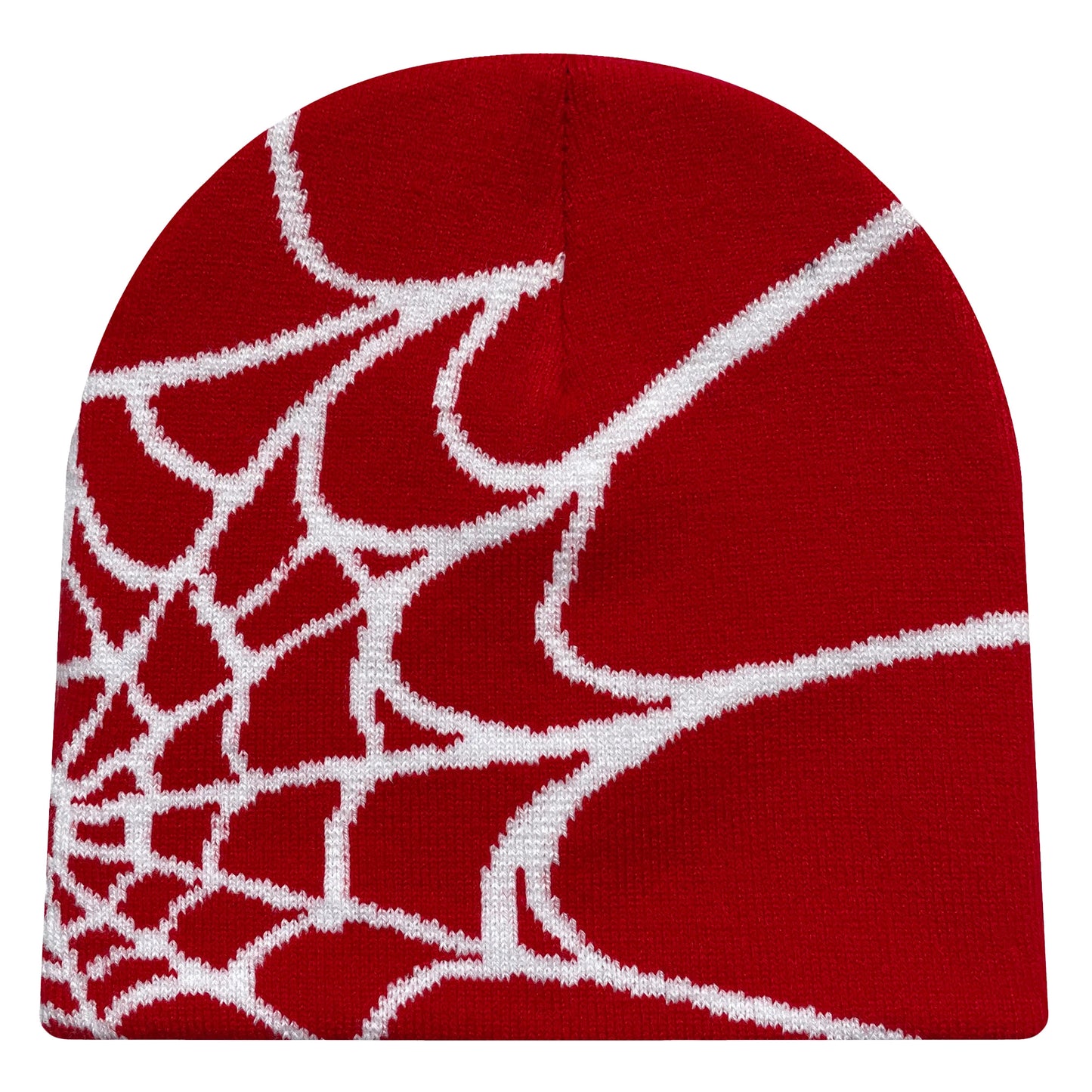 BEANIE (Graphic) - Warm multicolor winter spider web beanie