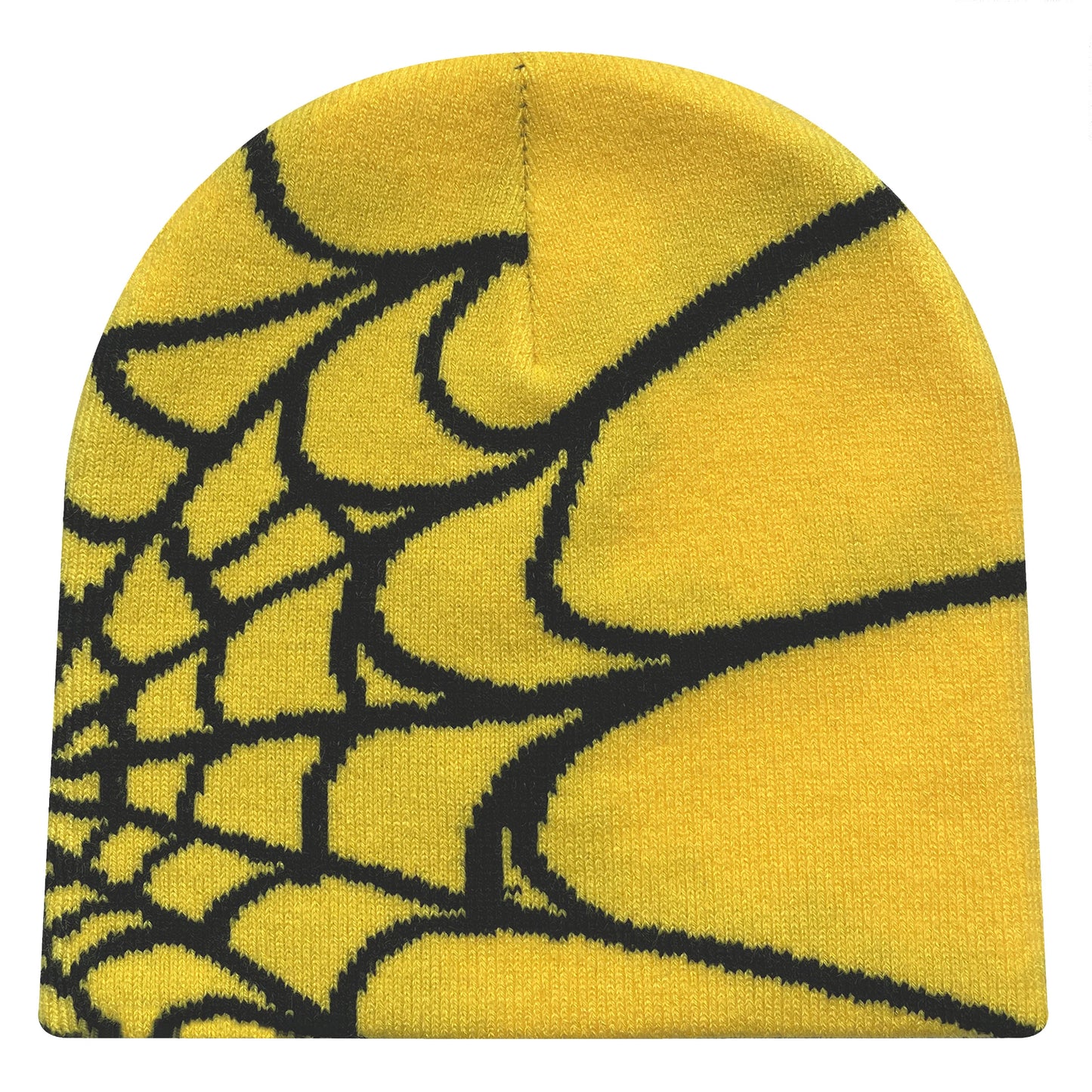 BEANIE (Graphic) - Warm multicolor winter spider web beanie